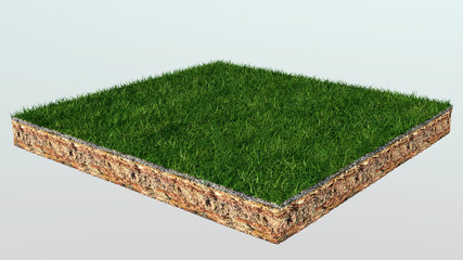 3D grass