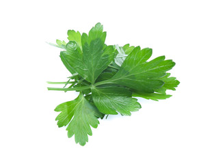 Parsley herb isolated on white background