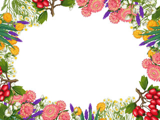 Hand drawn medicinal plant frame. Healing herbs border. isolated on white background