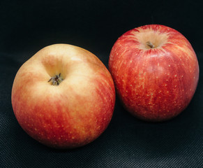 famous read apple from poland the best apples in the world healthy and perfect in my vegetarian diet
