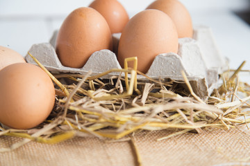 Eggs chicken on white wood background