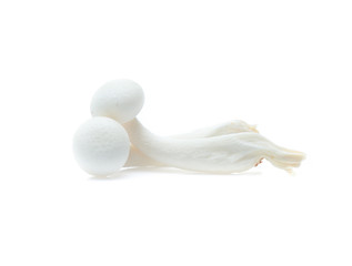 white beech mushroom or Shimeji mushroom on white background