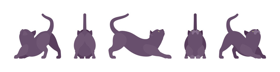 Black Cat stretching. Active healthy kitten with dark, gray colored fur, cute funny pet, mystic bad luck omen. Vector flat style cartoon illustration isolated on white background, different views