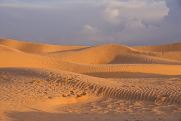 sand dunes of the Sahara desert, with traces left by human feet