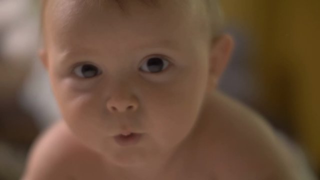 Adorable baby boy with chubby cheeks