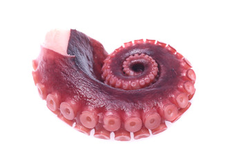 tentacles of octopus isolated on white background