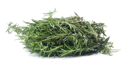 rosemary isolated on white background
