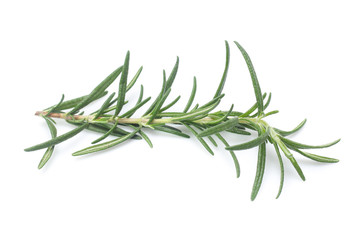 rosemary isolated on white background