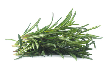 rosemary isolated on white background