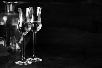 Two elegant grappa glasses with copy space