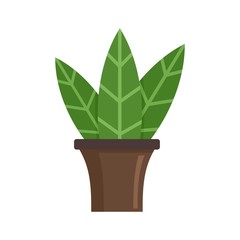 Big leaf houseplant icon. Flat illustration of big leaf houseplant vector icon for web design