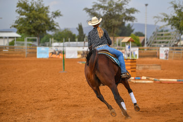The rider on horseback overcomes obstacles on a sandy field