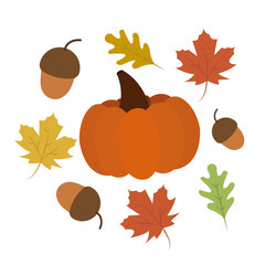Autumn time with pumpkin, acorns and colorful leaves. Flat cartoon style. Vector illustration. Fall season theme