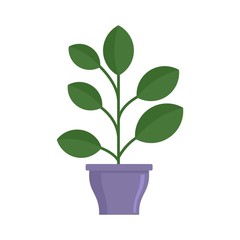 High houseplant icon. Flat illustration of high houseplant vector icon for web design