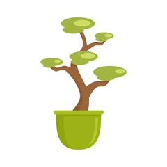 Amazon tree pot icon. Flat illustration of amazon tree pot vector icon for web design