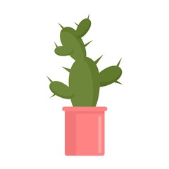 Mexican cactus pot icon. Flat illustration of mexican cactus pot vector icon for web design