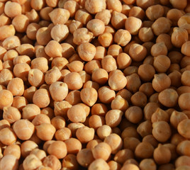 Chickpeas. Leguminous herbaceous plant, leguminous crop. Commonly used names are Volozhsky pea, walnut pea, mutton pea, nohut.