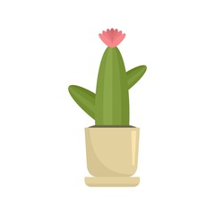 Office flower cactus icon. Flat illustration of office flower cactus vector icon for web design