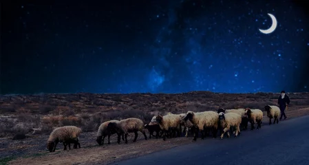Selbstklebende Fototapeten ein Hirte, der nachts bei Neumond (Halbmond) in einer Wüste am Straßenrand Schafe weidet. Bild, das Ramadan-Konzept darstellt. © Eziz