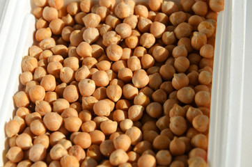 Chickpeas. Leguminous herbaceous plant, leguminous crop. Commonly used names are Volozhsky pea, walnut pea, mutton pea, nohut.