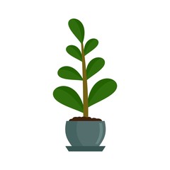Jungle houseplant icon. Flat illustration of jungle houseplant vector icon for web design