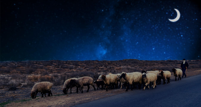 A Shepherd Grazing Sheep At Night Under The New Moon (crescent) In A Desert At The Roadside. Image Depicting Ramadan Concept.