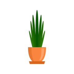 Long high leaf houseplant icon. Flat illustration of long high leaf houseplant vector icon for web design
