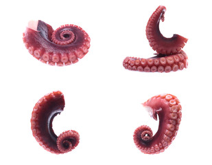 tentacles of octopus isolated on white background (set  mix   collection). © Poramet