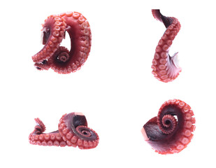 tentacles of octopus isolated on white background (set  mix   collection).