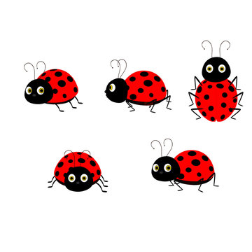 Five Ladybugs - Cartoon Vector Image