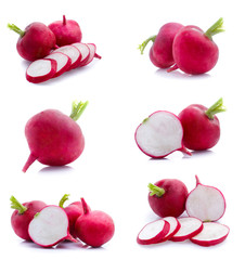 radish isolated on white background