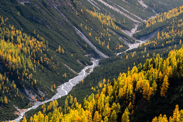 wild, untamed river and larches in Val Cluozza in Swiss National Park