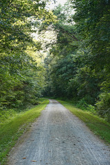 Fototapeta na wymiar Gravel path through the rails to trails in Western Pennsylvania.