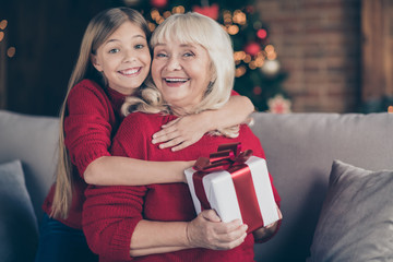 Close-up portrait of nice attractive lovely cheerful cheery granny pre-teen grandchild holding in hands bow ribbon box congrats winter December at decorated industrial loft style interior house
