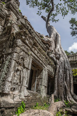 Fototapeta premium Angkor Wat, Siem Reap / Cambodia »; August 2017: Ta Prohm temple of Angkor Wat seen from below winged statues
