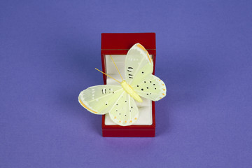 jewel butterfly purple