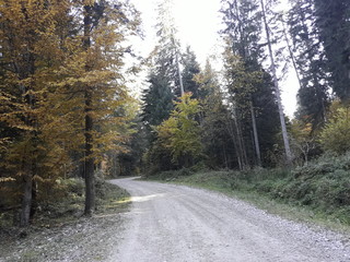 Obraz premium davnatural landscape