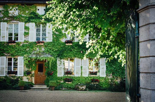 Une maison bourgeoise en France. Un manoir couvert de lierre. De la vigne sur la fa&ccedil;ade d'une belle demeure.