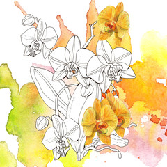 Watercolor orchid flowers seamless pattern. Hand drawn wallpaper design.