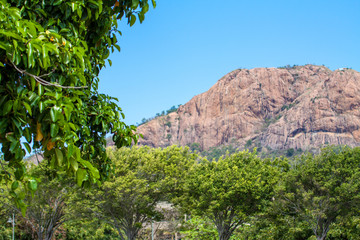 Fototapeta premium Roter Felsen und Bäume