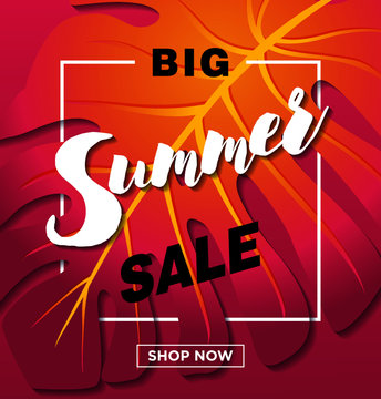 Summer Sale Design with Exotic Palm Leaves and Typography Letter on Exotic Phylodendron Leaves Background. Tropical Holiday Vector Special Offer Illustration with Coupon, Voucher, Banner, Flyer 