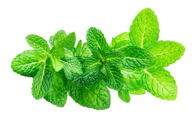 Peppermint Isolated. Fresh mint leaves ia a row on white background, top view. Close up