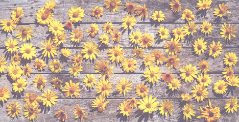 Yellow flowers on a background of an old wooden table. Pastel colors, vintage background for text.
