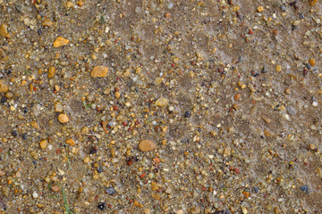 wet sand on the ground texture