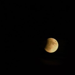 moon in the sky