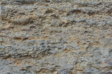 texture of a stone of a shell rock, roughnesses, a place for the text,