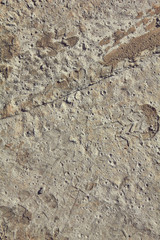texture of hardened cement with imprints of the sole