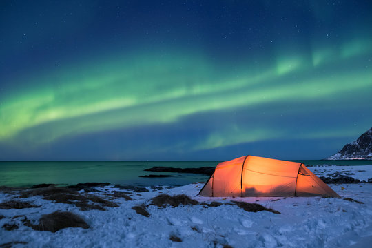 Illuminated tent under a beautiful northern light display on Lofoten islands in Norway
