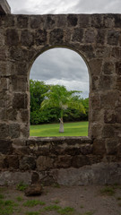 Fototapeta na wymiar Brick Arch framing palm tree