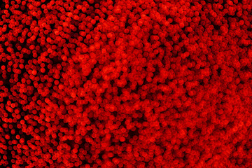 red bokeh of light party background